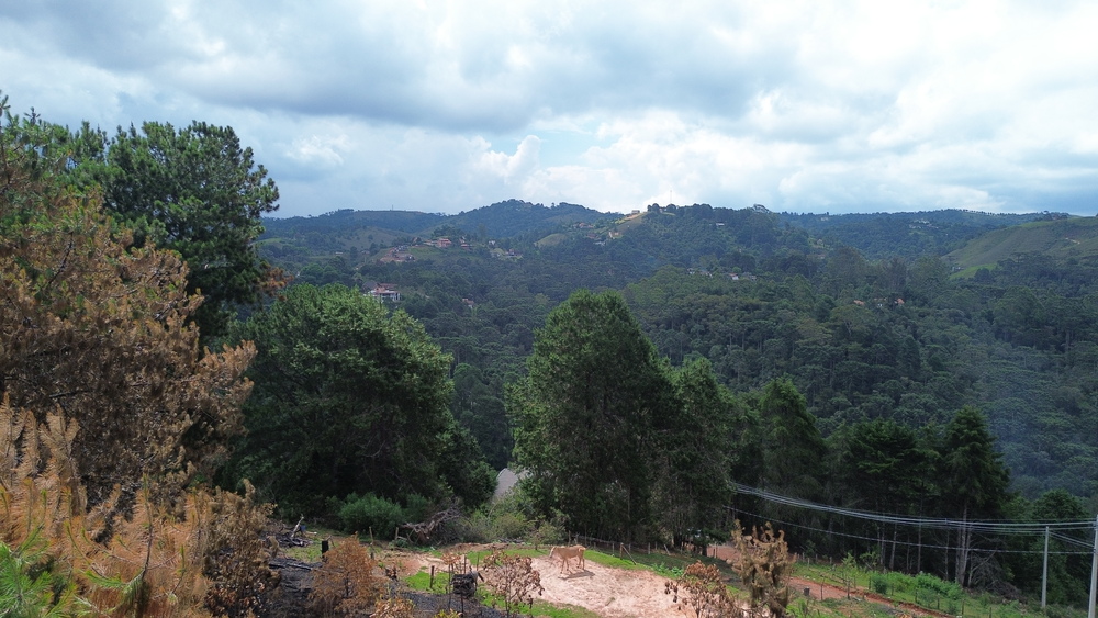 Terreno Venda Marie France